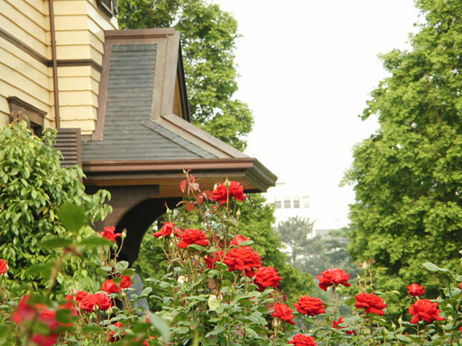 外交官の家の薔薇 イタリア山庭園(72kb)