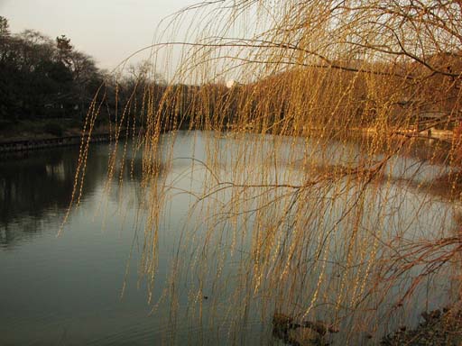 ２つ目の池