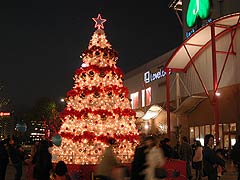 クリスマスツリー状の飾り(12k) 13日撮影