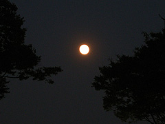 晩秋の満月(11k) 
