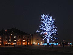 LEDの木(9k) 