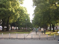 大通り公園(13k) 