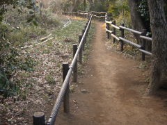 熊野神社市民の森(14k) 1日撮影