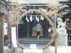 菊名神社の茅の輪(17k) 5日撮影