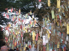 熊野神社の笹飾り(20k) 