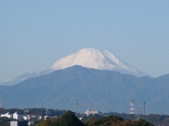 富士冠雪(15k) 