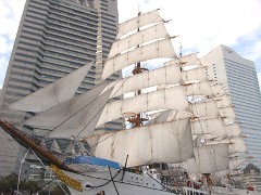 帆船日本丸(15k) 