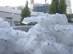 残雪(18k) 22日撮影