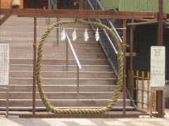 菊名神社の茅の輪(18k) 