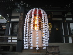 菊名法隆寺(18k) 