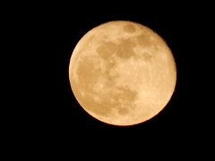 十六夜の月(18k) 8日撮影