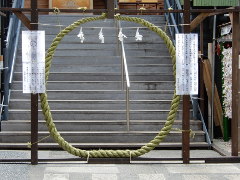 菊名神社(18k) 6月27日撮影