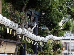 菊名神社(18k) 