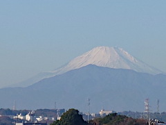 富士山(10k) 