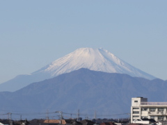 富士山(15k) 