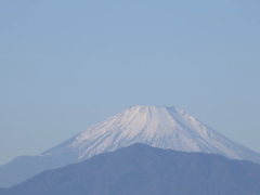 富士山(10k) 