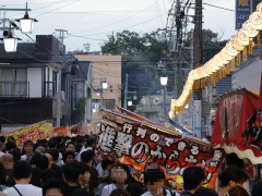 参道 参道(39k) 27日撮影