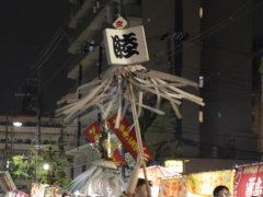 纏 纏(28k) 12日撮影
