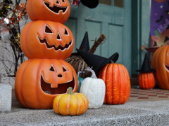 ブラフ18番館(34k) 17日撮影