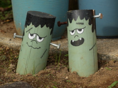 大船フラワーセンター(24k) 18日撮影