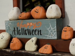 大船フラワーセンター(24k) 18日撮影