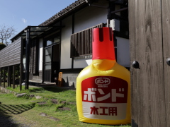 飫肥 DENKEN WEEK(30k) 