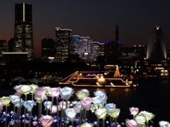 大さん橋 大さん橋(32k)