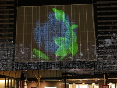 ヨコハマイルミナ(26k) 