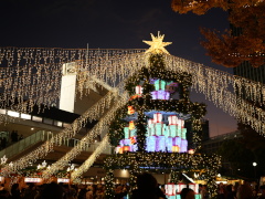 横浜公園 横浜公園(32k) 11月23日撮影