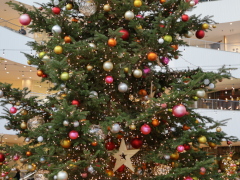 もみの木飾り(24k) 6日撮影