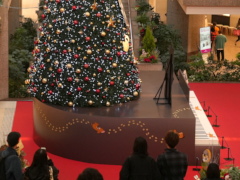 ランドマークプラザ(29k) 