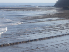 鬼の洗濯岩(25k) 28日撮影