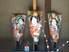 羽子板(25k) 10日撮影