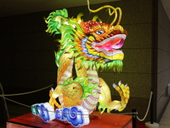 ランタン(34k) 1月30日撮影