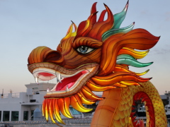 ランタン(34k) 1月30日撮影